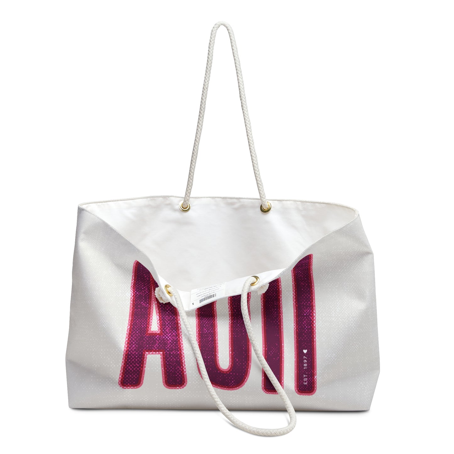 Alpha Omicron Pi Big Letters Bag